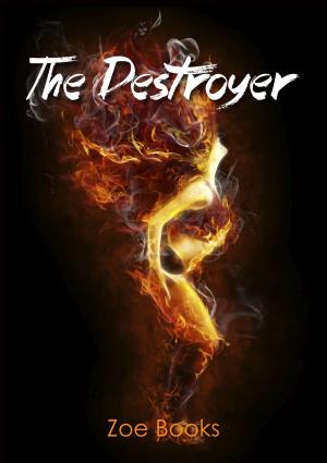 Book cover of The Destroyer