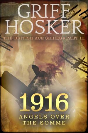 Cover of the book 1916 Angels over the Somme by Griff Hosker
