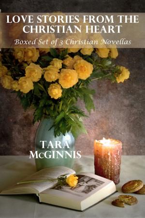 Cover of the book Love Stories From The Christian Heart (Boxed Set of Three Novellas) by Meg North