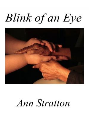 Cover of the book Blink of an Eye by Ann Stratton
