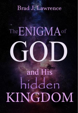 Book cover of The Enigma of God and His Hidden Kingdom