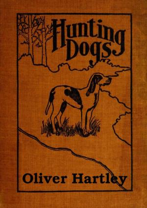 bigCover of the book Hunting Dogs by 