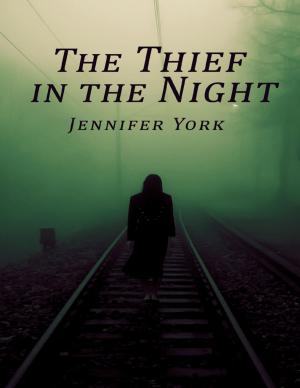 Cover of the book The Thief In the Night by Rod Polo