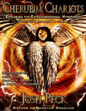 Cover of the book Cherubim Chariots: Exploring the Extradimensional Hypothesis by GLENN P CLINGER III