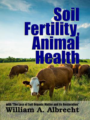 Cover of the book Soil Fertility, Animal Health by R. L. Saunders