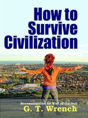 Book cover of How to Survive Civilization