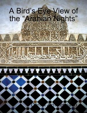 Book cover of A Bird’s Eye View of the “Arabian Nights”