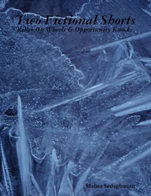 Cover of the book Two Fictional Shorts - Killer On Wheels & Opportunity Knocks - by Douglas Christian Larsen