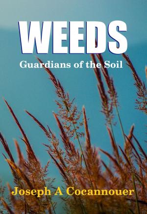 Cover of the book Weeds - Guardians of the Soil by Philipp Appenzeller, Paul Dreßler, Anna Maxine von Grumbkow, Katharina Schäfer, Rieke Kersting, Madeleine Menger