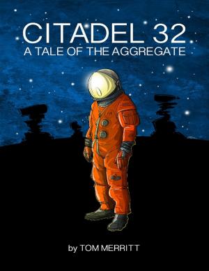 Cover of the book Citadel 32: A Tale of the Aggregate by Kimberly Vogel