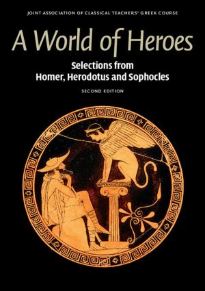 Book cover of A World of Heroes