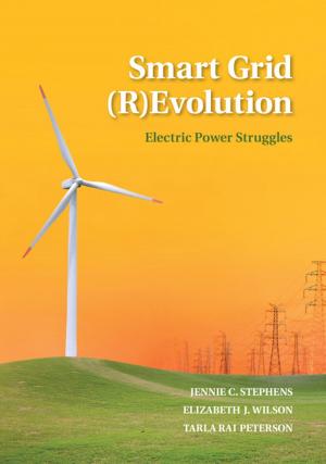 Cover of the book Smart Grid (R)Evolution by 