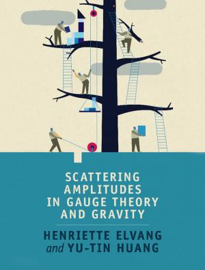 Cover of the book Scattering Amplitudes in Gauge Theory and Gravity by Jonathan Curci