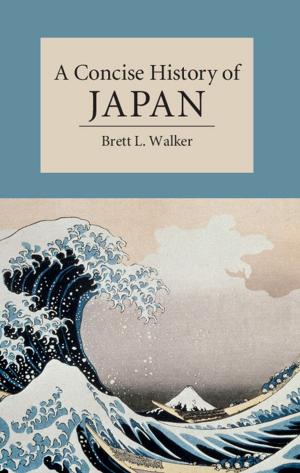 Cover of the book A Concise History of Japan by Peter W. Rose