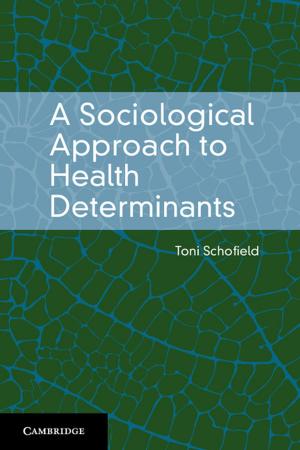 Cover of the book A Sociological Approach to Health Determinants by David Chan Smith
