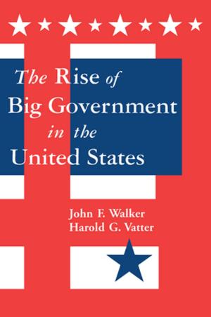 bigCover of the book The Rise of Big Government by 