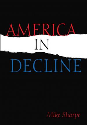 Cover of the book America in Decline by Jason Pomeroy