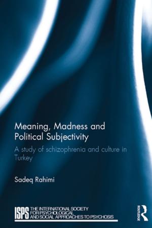 Cover of the book Meaning, Madness and Political Subjectivity by Marti Markley