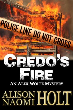 Cover of the book Credo's Fire by Laney Monday