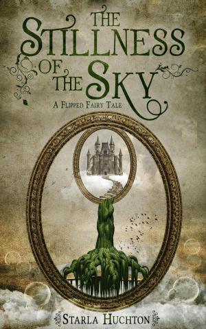 Book cover of The Stillness of the Sky