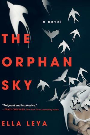 Cover of the book The Orphan Sky by Clea Simon