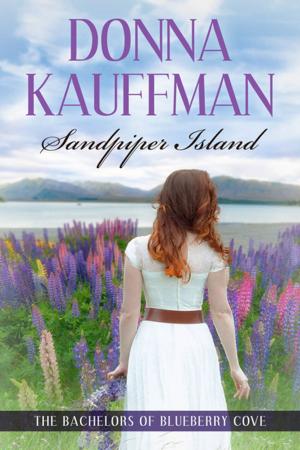 Cover of the book Sandpiper Island by Amy Lillard