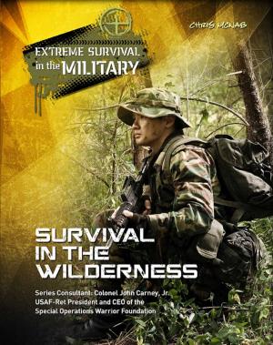 Cover of the book Survival in the Wilderness by Kristine Brennan