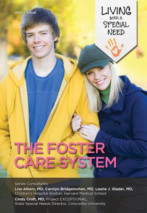 Cover of the book The Foster Care System by J. S. McIntosh