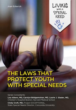 Cover of the book The Laws That Protect Youth with Special Needs by Alan Wachtel