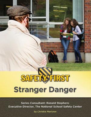 Cover of the book Stranger Danger by Julianna Fields