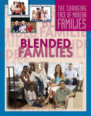 Cover of the book Blended Families by Shaina Indovino