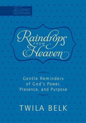 Cover of the book Raindrops from Heaven by John Turnipseed, Cecil Murphey