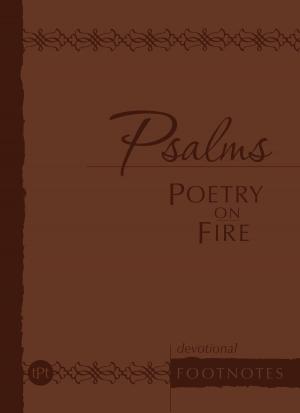 Cover of the book Psalms Poetry on Fire by Brian Simmons
