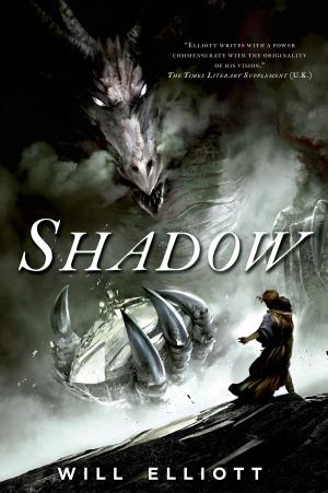 Cover of the book Shadow by Laure Arbogast
