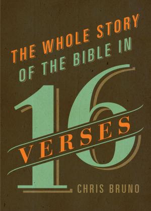bigCover of the book The Whole Story of the Bible in 16 Verses by 