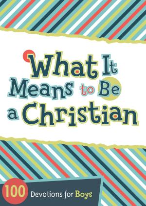 Cover of the book What It Means to Be a Christian by Steve F. Echols, Allen England