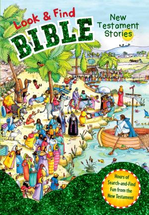 Cover of the book Look and Find Bible: New Testament Stories by Shaunti Feldhahn, Robert Lewis