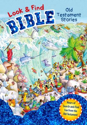 Cover of the book Look and Find Bible: Old Testament Stories by P23 Entertainment Inc., Mike Nappa