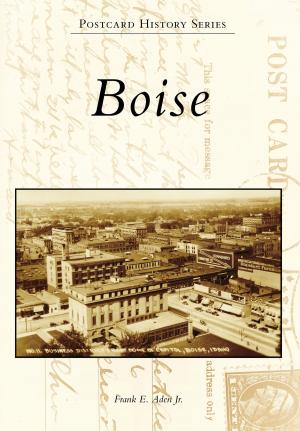 Cover of the book Boise by William Bearden
