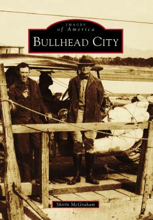 Cover of the book Bullhead City by Jerry A. Wooley