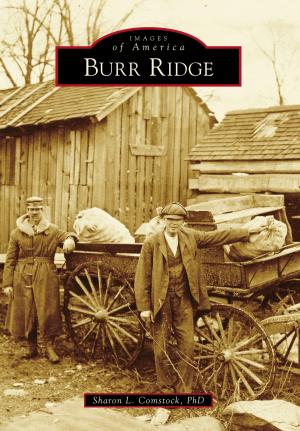 Cover of the book Burr Ridge by Marita Krivda Poxon, Rachel Hildebrandt, Old York Road Historical Society