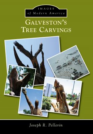 Cover of the book Galveston’s Tree Carvings by Deborah I. Gouin