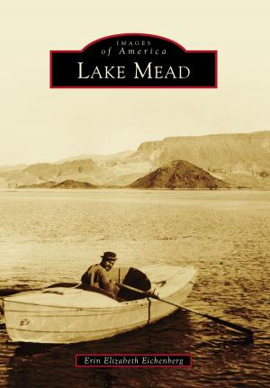 Cover of the book Lake Mead by Virginia Palmer-Skok