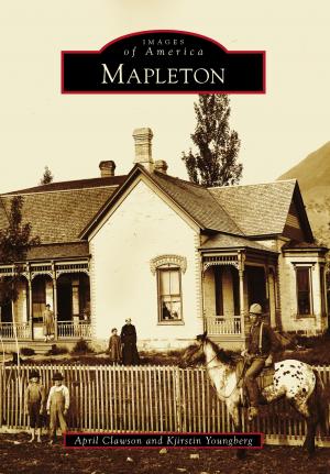 Cover of the book Mapleton by Barbara Grover