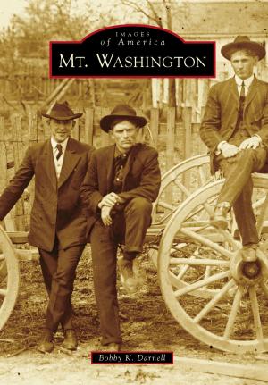 Cover of the book Mt. Washington by Patricia Haesly Worthington