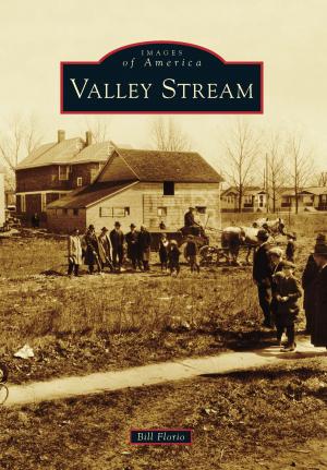 Cover of the book Valley Stream by Frank M. Roseman, Peter J. Watry Jr.