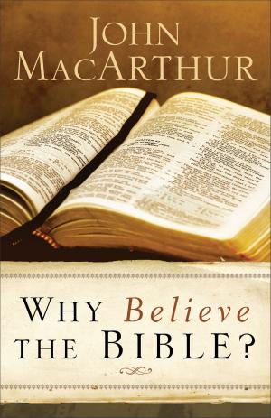 Book cover of Why Believe the Bible?