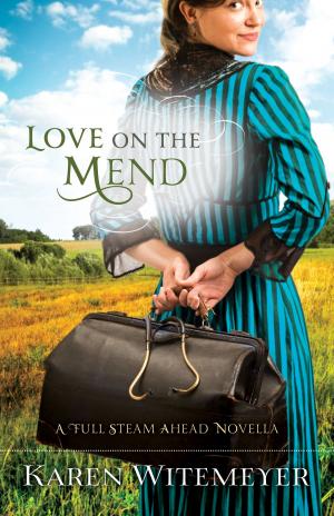 Cover of the book Love on the Mend by Carol Cox