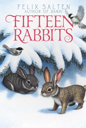 Cover of the book Fifteen Rabbits by Debbie Dadey