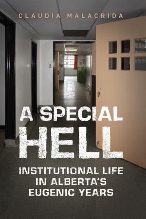 Cover of the book A Special Hell by Mireille Paquet
